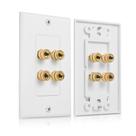 Speaker Wire Wall Plate Cable Matters, pacote com 2 alto-falantes