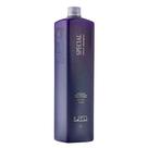 Special Silver Shampoo Matizador K.Pro Profissional 1 Litro