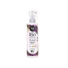 Spray 10 em 1 Salon Line Meu Liso Antifrizz 240ml