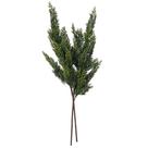 Spray Artificial Vickerman Helecho de Cedro Verde 30 cm 2/Paquete