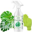 Spray Brilho para Folhas QONS 500 ml Polidor para Plantas de Interior Spray Brilho para Folhas QONS 500 ml Polidor para Plantas de Interior