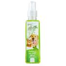 Spray Bucal Pet Clean Sabor Menta para Cães e Gatos - 120 mL