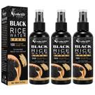 Spray de crescimento capilar VedoAid Black Rice Water 100ml com óleo de rícino