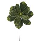 Spray de Flor Artificial Vickerman Magnolia de Terciopelo Verde Lima x4 Spray de Flor Artificial Vickerman Magnolia de Terciopelo Verde Lima x4