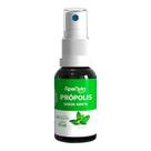 Spray de Própolis e Menta 30ml - ApisNutri Spray de Própolis e Menta 30ml - ApisNutri