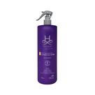 Spray Desembaraçador 6 em 1 Hydra Groomers 500mL para Cães e Gatos Leavein, Anti Frizz e Protetor Térmico
