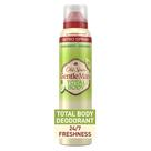 Spray desodorante Old Spice Whole Body Cucumber + Abacate 100mL