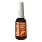 Spray Extrato de Própolis, Gengibre e Romã (35ml) - Natusday Spray Extrato de Própolis, Gengibre e Romã (35ml) - Natusday