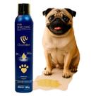 Spray Impermeabilizante Tapetes Sofás e Estofados Contra Xixi de Pet Pipi Shielding