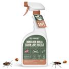 Spray matador de insetos ECOPEST Boxelder Bug & Asian Lady Beetle