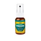 Spray para Hálito Ambroxmel 30ml Cimed Spray para Hálito Ambroxmel 30ml Cimed