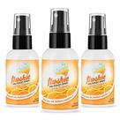 Spray pré-higiênico Flushie Citrus Scent 60 ml, pacote com 3 Spray pré-higiênico Flushie Citrus Scent 60 ml, pacote com 3