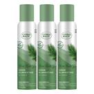 Spray purificador de ar Citrus Magic Holiday Winter Wonder 100ml Spray purificador de ar Citrus Magic Holiday Winter Wonder 100ml