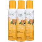 Spray purificador de ar Citrus Magic Orange Spice Cider 90mL x3