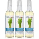 Spray purificador de ar Natural Flower Power Lemongrass 120mL x3