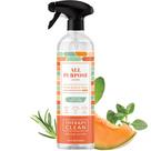 Spray Therapy de limpeza Clean Fresh Herbs & Melon 700mL