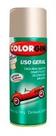 Spray Uso Geral (Escolha a Cor) 350ml - Colorgin