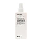 Spray volumizador EVO Root Canal Texture Boost 200mL