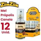 Sprayziin de Própolis Sabor Canela 30ML - Kit Com 12 Unidades