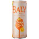 Spritz sem Álcool 250ml - Baly