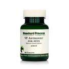 Standard Process VF Antronex para la Salud Hepática de Mascotas, 90 Tabletas