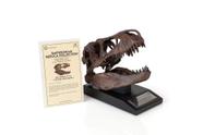 Statue Master replica o crânio de T-Rex da nação com 15 cm de altura