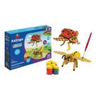 Steam Educativo Insetos do Jardim Mágico Xalingo - Xalingo Brinquedos
