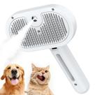 Steam Grooming Brush Katoggy para cães e gatos Steam Grooming Brush Katoggy para cães e gatos