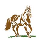 Stencil Especial Pintura Cavalo 21,1x17,2 Stm-175 - Litoarte