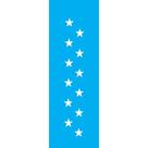 Stencil Opa 10 x 30 cm - Estrela Grande - 020