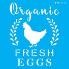 Stencil Opa 14 X 14 cm - Farm House Organic Fresh Eggs - 2923