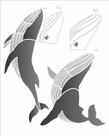 Stencil opa 20x25 - 3314 - animais baleia jubarte - 50% Stencil opa 20x25 - 3314 - animais baleia jubarte - 50%