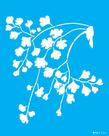 Stencil OPA 3367 - 20x25 cm - PLANTAS AVENCA