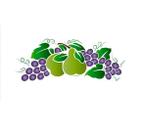 Stencil Pintura 8,4x28,5 Frutas Ste-204 - Litoarte