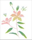 Stencil Simples Flor Lírio 2064 20x25 Opa Stencil Simples Flor Lírio 2064 20x25 Opa