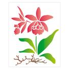 Stencil Sp. 20X25 1452 Orquidea