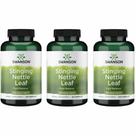 Stinging Nettle Leaf Swanson 400 mg 120 cápsulas, pacote com 3 Stinging Nettle Leaf Swanson 400 mg 120 cápsulas, pacote com 3