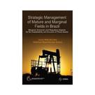 Strategic management of mature and marginal fields in brazil: marginal, economic and regulatory aspe