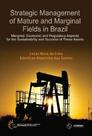 Strategic management of mature and marginal fields in Brazil