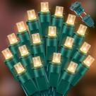 String Lights LAMPHOME 100 Warm White LED 6,3 polegadas 21,6 pés String Lights LAMPHOME 100 Warm White LED 6,3 polegadas 21,6 pés