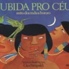 Subida pro céu: mito dos índios bororó 8ª reipressão