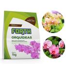 Substrato Forth Orquídeas 1 kg
