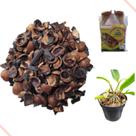 Substrato Orquídeas - Casca De Macadâmia E Carvão