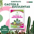 Substrato para Cactos e Suculentas 2Kg - Drenagem, Aeração e Crescimento Saudável das Plantas