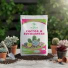 Substrato para Cactos e Suculentas Adubo Orgânico 5 kg Mogifertil