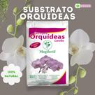 Substrato para Orquídeas 40Lts com Casca de Pinus e Carvão Aeração, Drenagem e Raízes Saudáveis