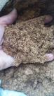 Substrato para plantas "Fibra de coco" 2 litros