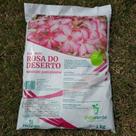 Substrato para Rosas do Deserto - Vida Verde - 2 kg - Ideal para Sementes e Mudas