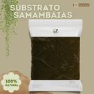 Substrato para Samambaias 5Kg - Rico em Nutrientes para Folhagem Verdinha e Saudável