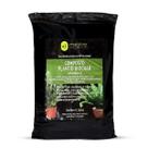 Substrato Para Samambaias Mestre Jardineiro Jardim 4L
